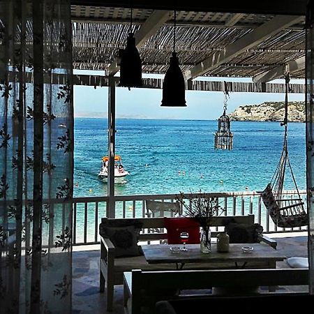 Bloom Villa By The Sea (Adults Only) Agia Pelagia Dış mekan fotoğraf